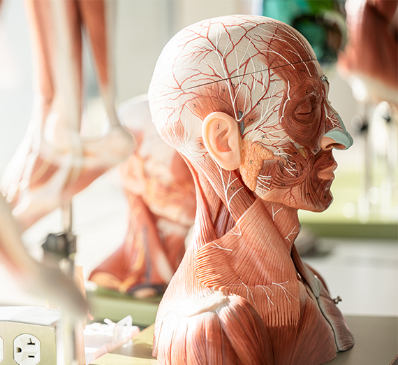 Студентка UW School of Medicine — регионального партнерства со школой Гонзага Мара Хазелтайн